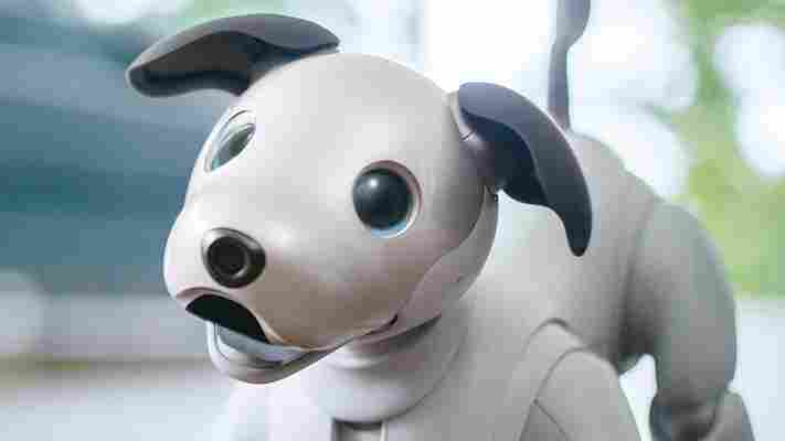 Sony’s Aibo robot dog is making a comeback