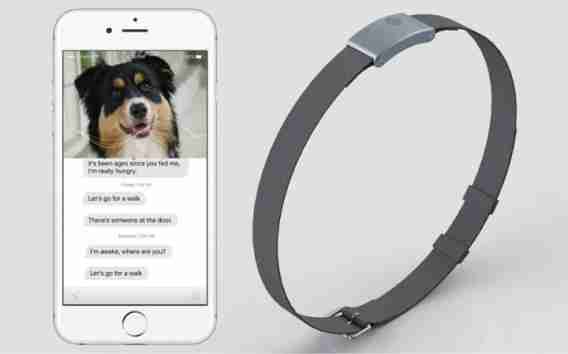 New collar claims to interpret dogs’ barks
