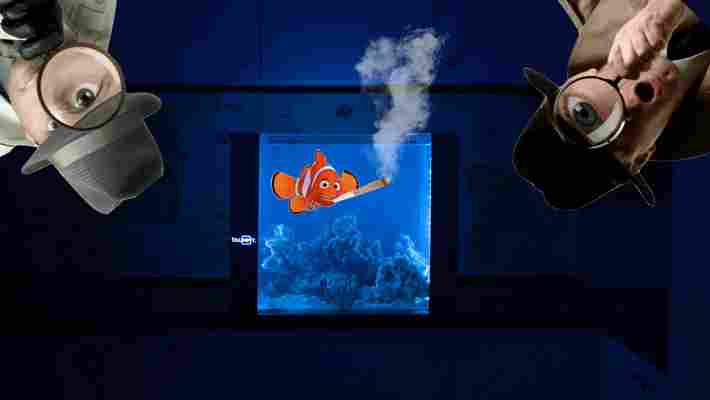 The Bluenero is a smart aquarium that lets you spy on your fish